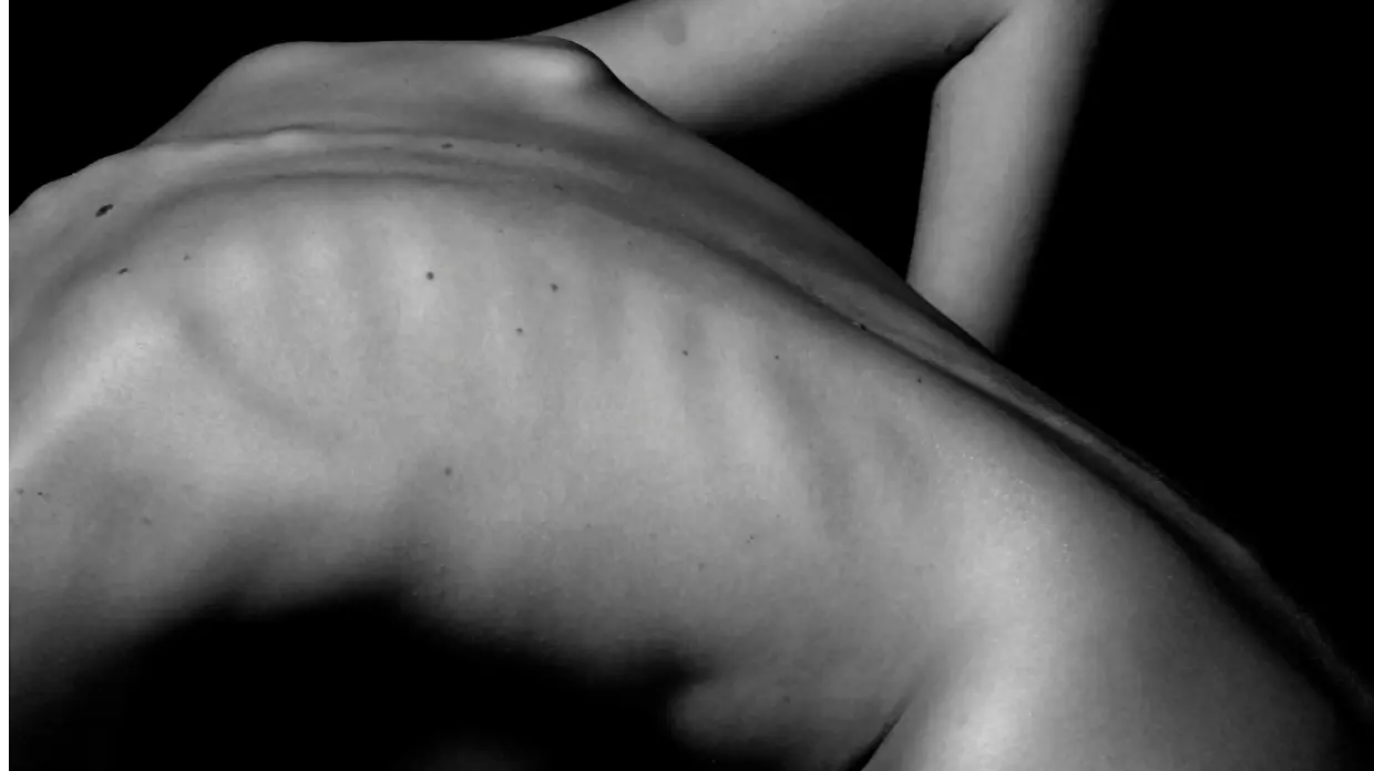 DEXA 與身體組成：自噬在肌肉保養與脂肪控制中的作用