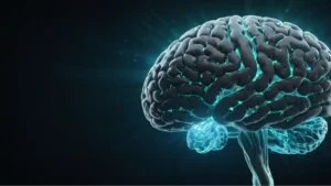 Read more about the article 肌酸如何促進認知健康和抗老化作用