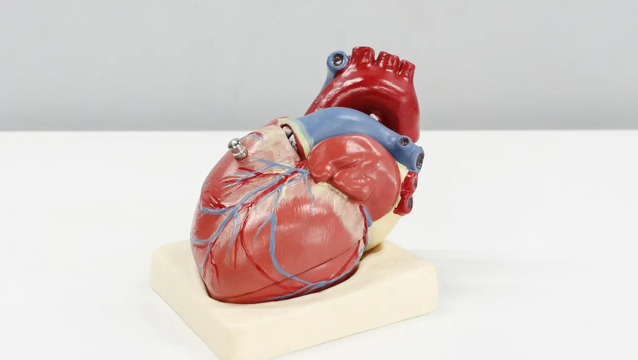 心房顫動（Atrial Fibrillation, AFib）簡介